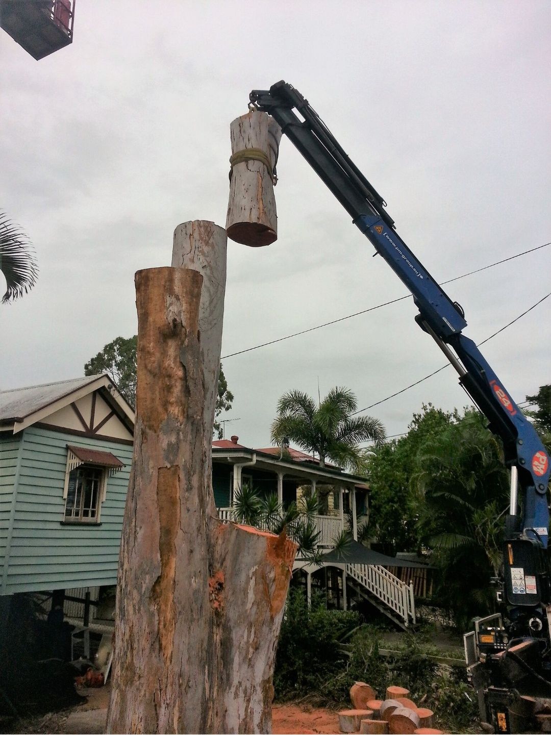Crane lifting a cut section of trunk beside a Queenslander