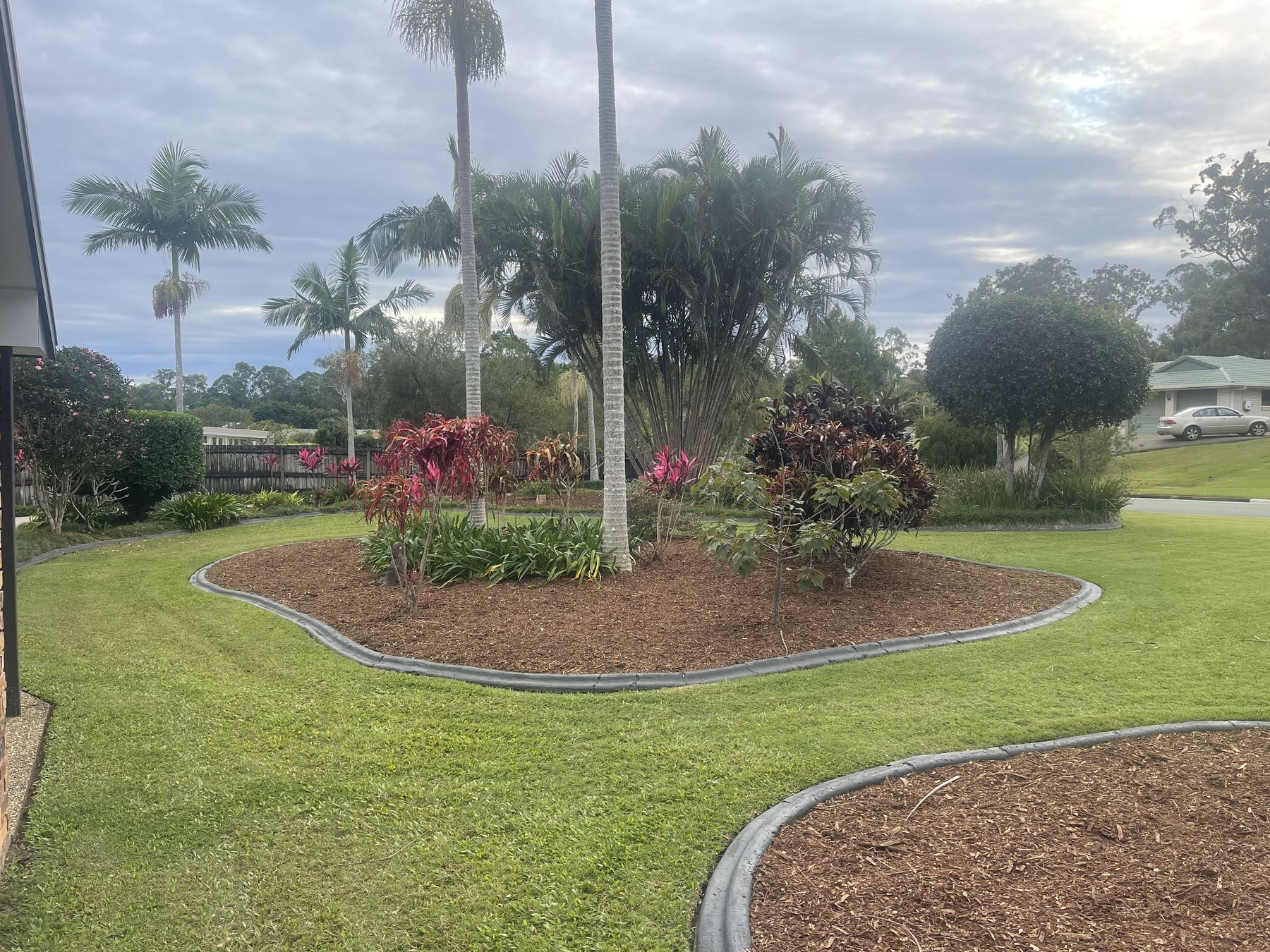 Tidy front garden with fresh mulch and palms after the job