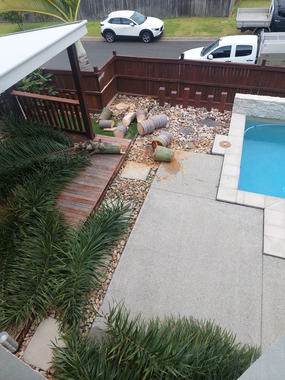 Trunk sections cut and stacked beside a pool after palms were removed